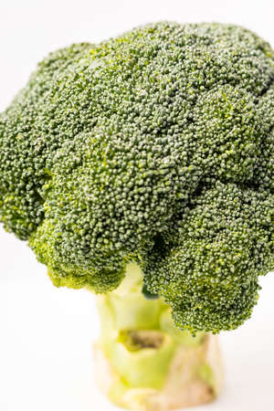 Fresh Broccoli isolated on white backgroundの写真素材