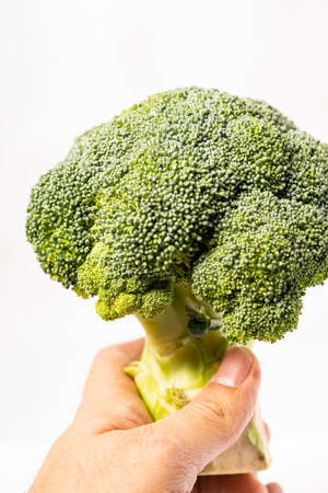 Fresh Broccoli isolated on white background