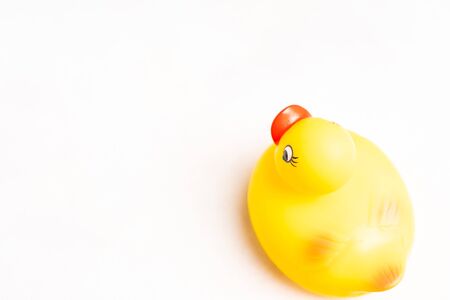 Yellow Rubber Duck isolated against whiteの写真素材