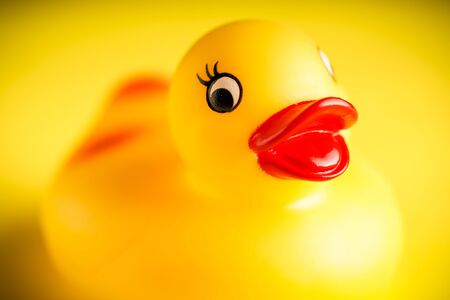 Yellow Rubber duck on yellow background