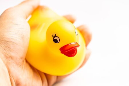 Yellow Rubber Duck isolated against whiteの写真素材