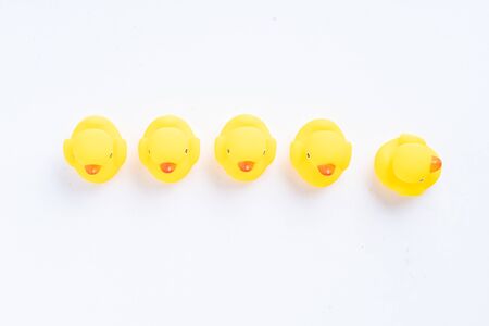 a group of yellow rubber duck with one duck facing different directionの写真素材