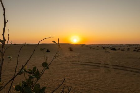 Sunset in Dubai Desertの写真素材