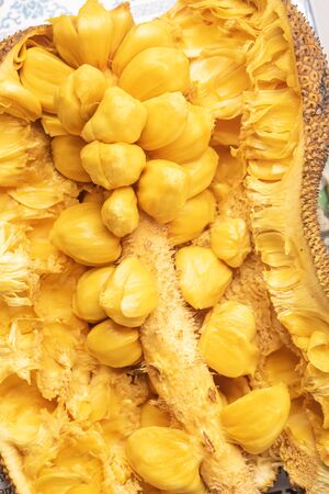 Closed up shot of opened jackfruit or locally known as cempedak/chempedak in Asia.