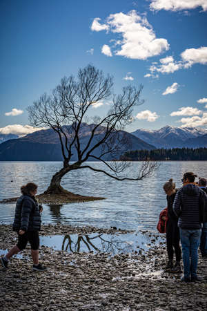 Tourist at The lonely tree Wanaka, New Zealandのeditorial素材