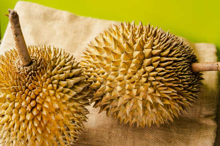 The durian is the fruit of several tree species belonging to the genus Durio. There are 30 recognised Durio species, at least nine of which produce edible fruit.の写真素材