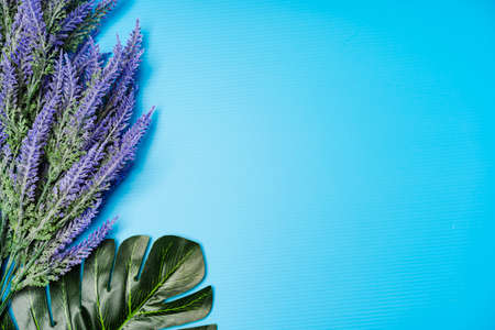Flat lay composition of Lavender flower, top viewの写真素材