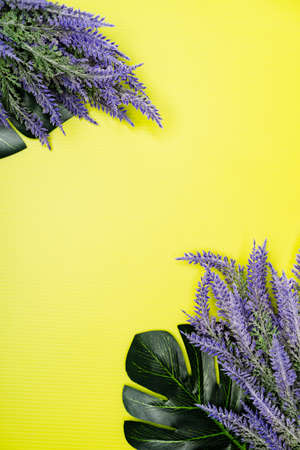 Flat lay composition of Lavender flower, top viewの写真素材