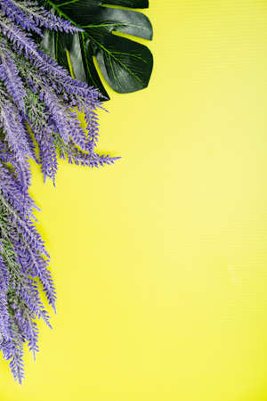 Flat lay composition of Lavender flower, top viewの写真素材