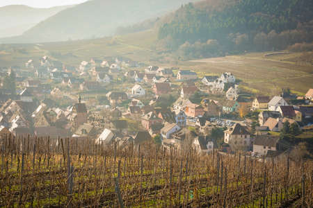 The beautiful view of Riquewihr Village, France from on top of Vineyard Hillの写真素材