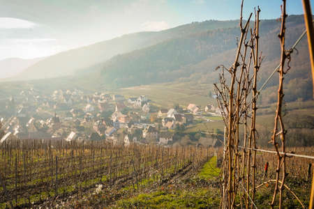 The beautiful view of Riquewihr Village, France from on top of Vineyard Hillの写真素材
