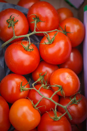 closed up shot of fresh cherry tomatoes with vinesの写真素材