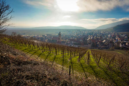 The beautiful view of Riquewihr Village, France from on top of Vineyard Hillの写真素材