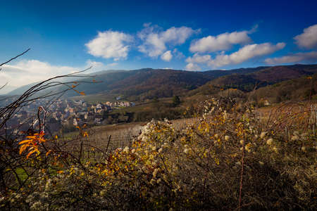 The beautiful view of Riquewihr Village, France from on top of Vineyard Hillの写真素材