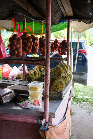 Closed up shot of The Musang King durian, also known by its original name Raja Kunyit, has deep yellow flesh, broad and blunt spikes, a gap between the stem and thorns, as well as visible seams.の写真素材