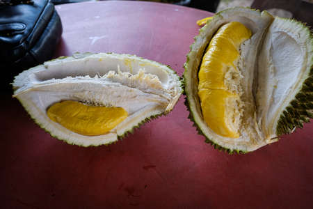 Closed up shot of The Musang King durian, also known by its original name Raja Kunyit, has deep yellow flesh, broad and blunt spikes, a gap between the stem and thorns, as well as visible seams.の写真素材