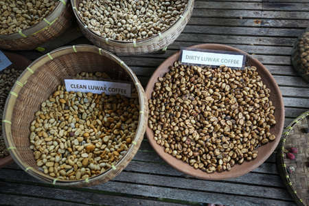Balinese Luwak Coffee is a specialty coffee in Bali