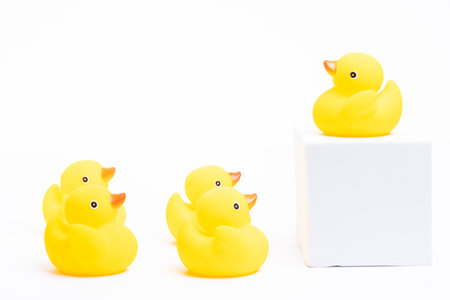 Leadership concept. A group of yellow rubber duck following the leaderの写真素材