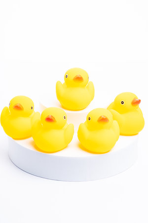 Leadership concept. A group of yellow rubber duck following the leaderの写真素材
