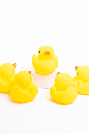 Leadership concept. A group of yellow rubber duck following the leaderの写真素材