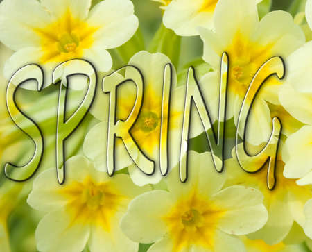 Spring Timeの写真素材