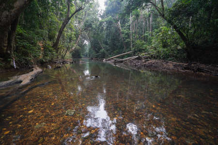 Fresh water and crystal clear from Relau River at Malaysia National Parkの写真素材