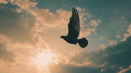 Silhouette of a pigeon flying in the sky at sunset.の素材
