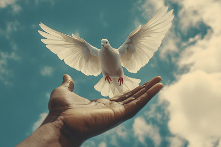 Hand of a man holding a white dove on a background of blue skyの素材