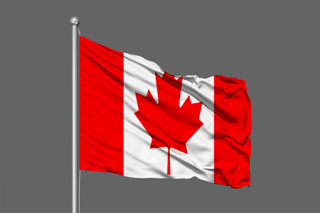National Flag of Canada, Flying in the Wind, Isolated On Gray Background, High Resolution