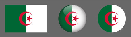 Algeria flag icon set. Round glossy button, vector illustration.のイラスト素材