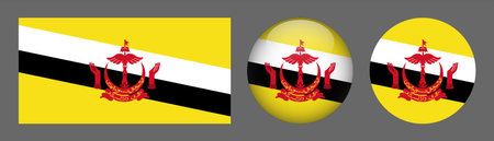 Brunei flag vector button set. National flag of Brunei.のイラスト素材