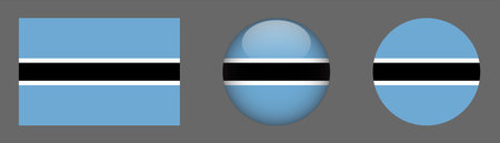 Botswana flag button set, vector illustration eps 10.のイラスト素材