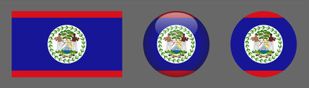 Belize icons set. Belize flag button on grey background. Vector illustrationのイラスト素材