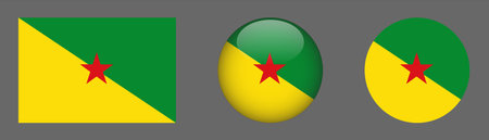 French Guiana flag icon set. Round glossy button, vector illustrationのイラスト素材
