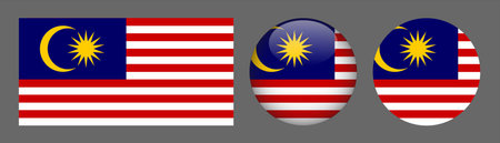 Malaysia flag vector button set. National flag of Malaysia.のイラスト素材