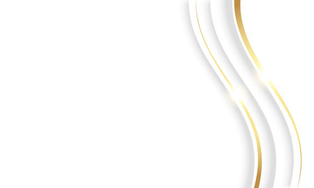 Luxury Gold White Background Design. Abstract Golden Curve with Shadow Isolated on White Background. Vector Illustration.のイラスト素材