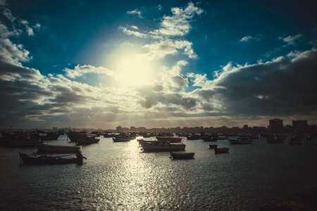 alexandriaのeditorial素材