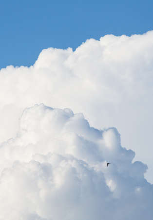 The cloudsの写真素材