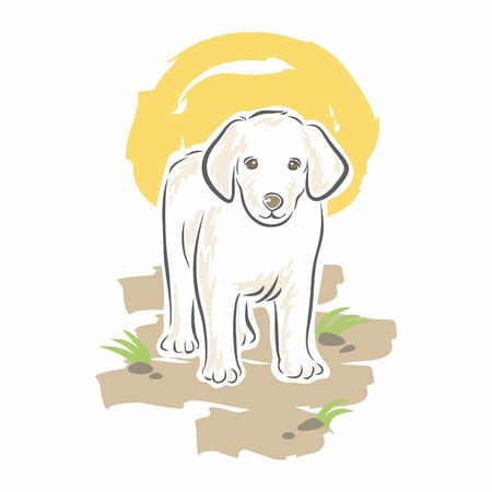 Cute White Dogのイラスト素材