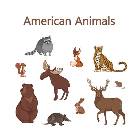 Set of cartoon cute American animals. Raccoon, fox, jaguar, squirrel, elk, bear, armadillo, hare, deer, voleのイラスト素材