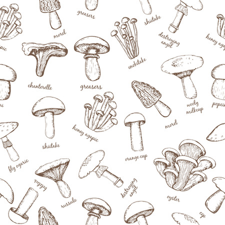 Vector Pattern of  mushrooms for design menus, recipes and packages productのイラスト素材