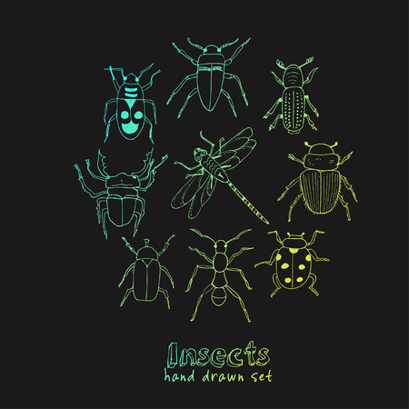Set of doodle sketch Bugs and beetles. Insects collection kit. Isolated vector illustrationのイラスト素材