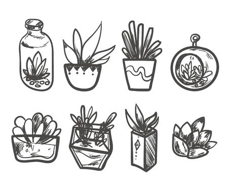 Hand drawn Set of Cactus in the pots. Isolated vector illustration for identity, design, decoration, packages product and interior decorationのイラスト素材