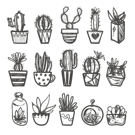 Hand drawn Set of Cactus in the pots. Isolated vector illustration for identity, design, decoration, packages product and interior decorationのイラスト素材
