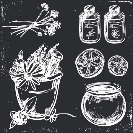 Ayurveda vector Hand drawn Set Healthy lifestyle Harmony with natureのイラスト素材