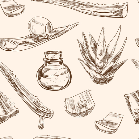 Aloe vera hand drawn set. Isolated Vector illustration. Kitchen hand-drawn herbs and spices. Health and Nature Collection.のイラスト素材