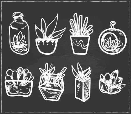 Hand drawn Set of Cactus in the pots. Isolated vector illustration for identity, design, decoration, packages product and interior decorationのイラスト素材