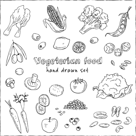 Vector hand drawn set of Vegeterian food. Vegetables, fruits.のイラスト素材