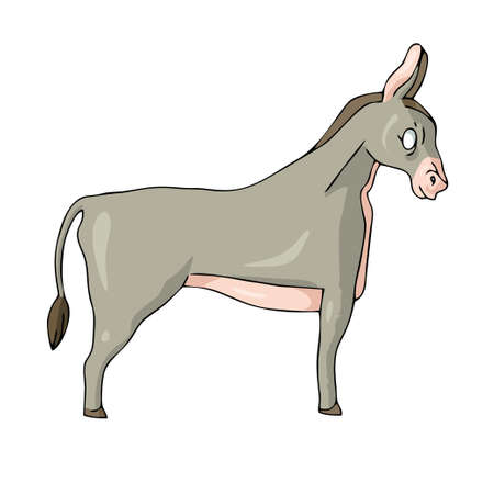 Donkey on white background Cute Cartoon Vector illustrationのイラスト素材