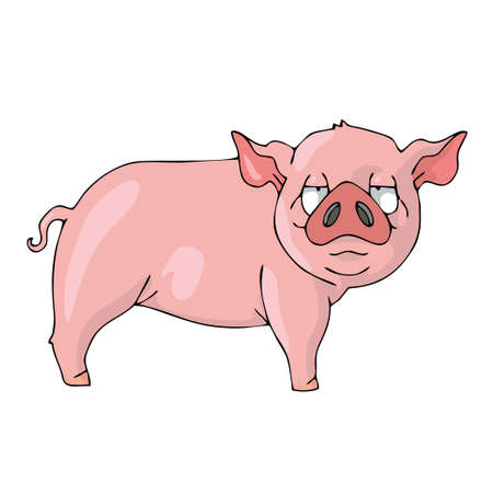 Pig on white background Cute Cartoon Vector illustration.のイラスト素材